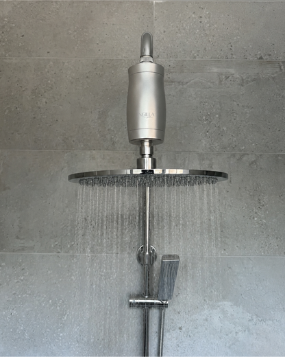 Signature Shower Filter